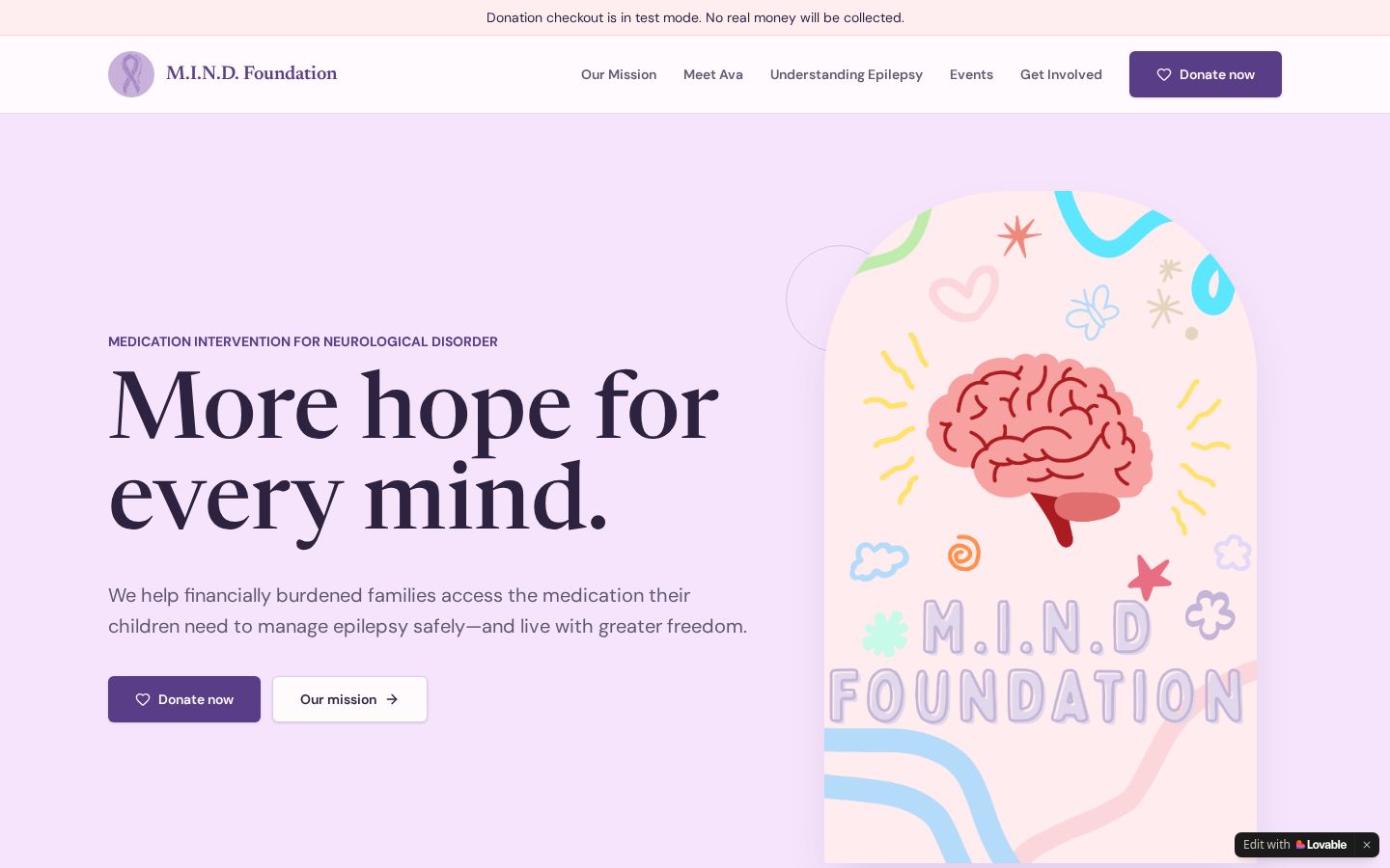 M.I.N.D. Foundation — Non-profit · Donations site